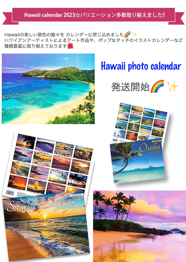 ハワイオリジナル額 HAWAII - www.gsspr.com